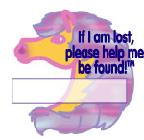 Child Safety Pony Temporary Tattoos