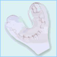 Child Safety Toothprint Identification Kit